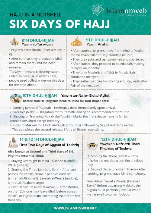 Infographics