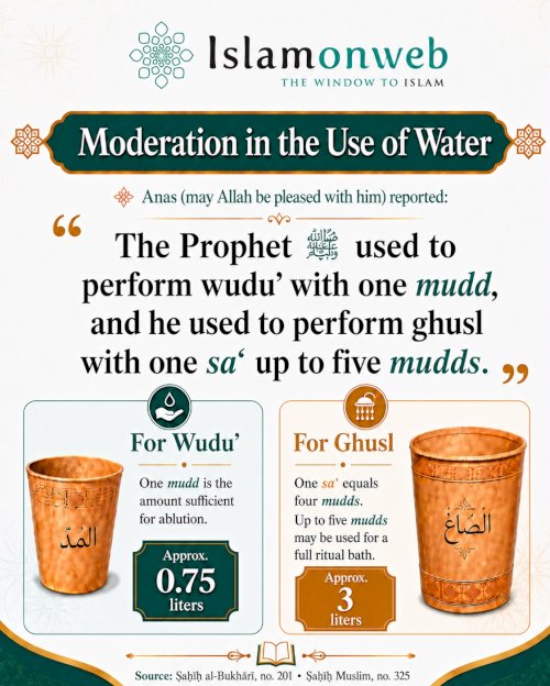Infographics