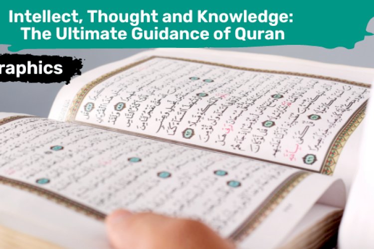 Infographics -  Intellect, Thought and Knowledge: The Ultimate Guidance of Quran