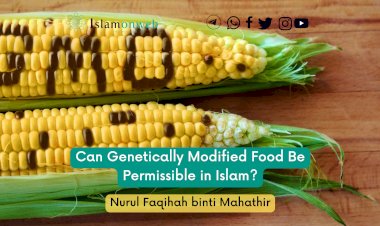 Can Genetically Modified Food Be Permissible in Islam?