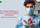 The Islamic Ruling on Pig-to-Human Organ Transplant