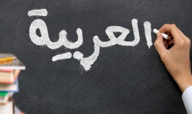 Arabic Grammar's Role in Islamic Tradition & Linguistic Evolution