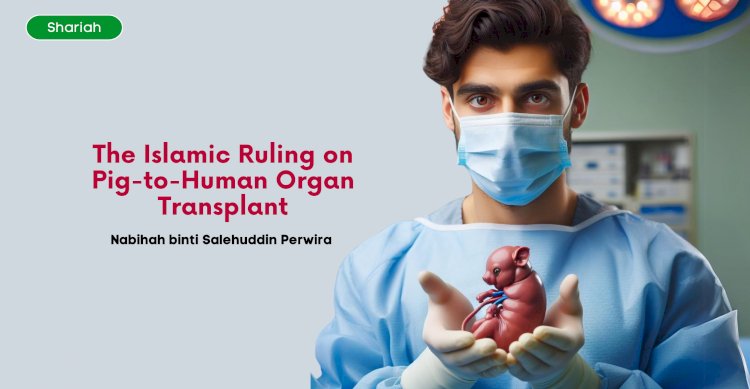 The Islamic Ruling on Pig-to-Human Organ Transplant