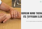 KOREAN HAND THERAPY AND ITS ȚOYYIBAN ELEMENTS