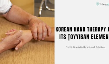 KOREAN HAND THERAPY AND ITS ȚOYYIBAN ELEMENTS