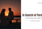 In Search of Pure Love: Choosing the Halal Path