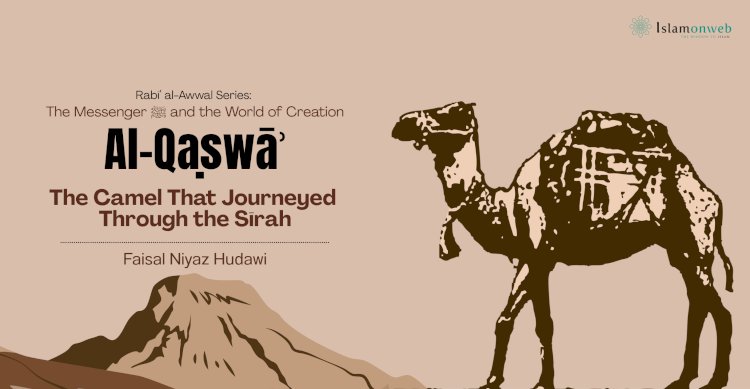 Al-Qaṣwāʾ: The Camel That Journeyed Through the Sīrah