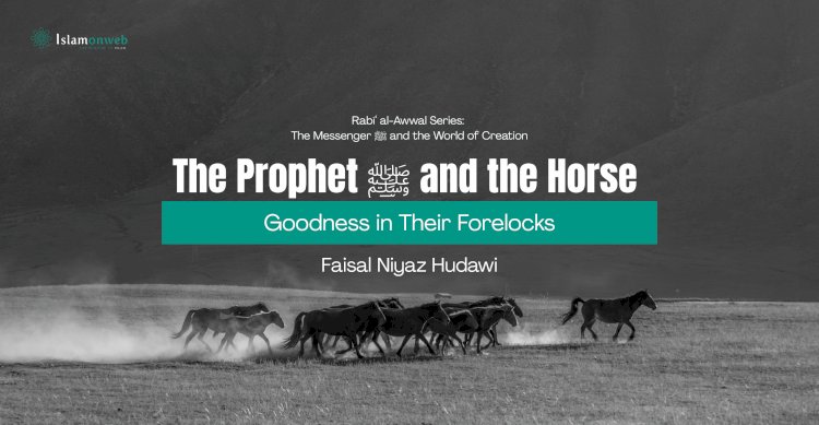 The Prophet ﷺ and the Horse: Goodness in Their Forelocks